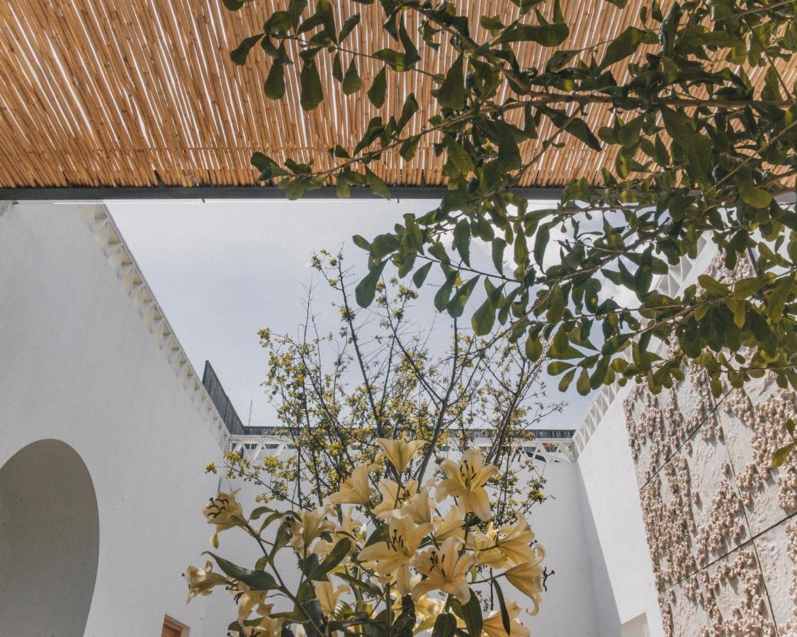 Casa Carmen Morelos Oaxaca Exteriör bild